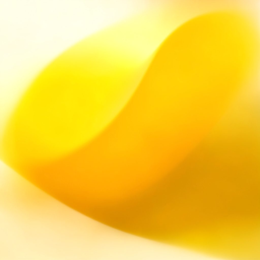 A softly glowing aspen leaf rendered in warm gold and green tones against a quiet, muted background, evoking calm and groundedness